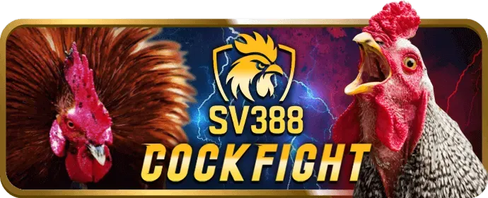 Hình ảnh minh họa thu thập dữ liệu tại onebet88